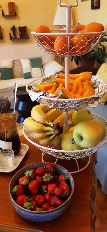 Hotel Le Siecle Mazan Bagian luar foto