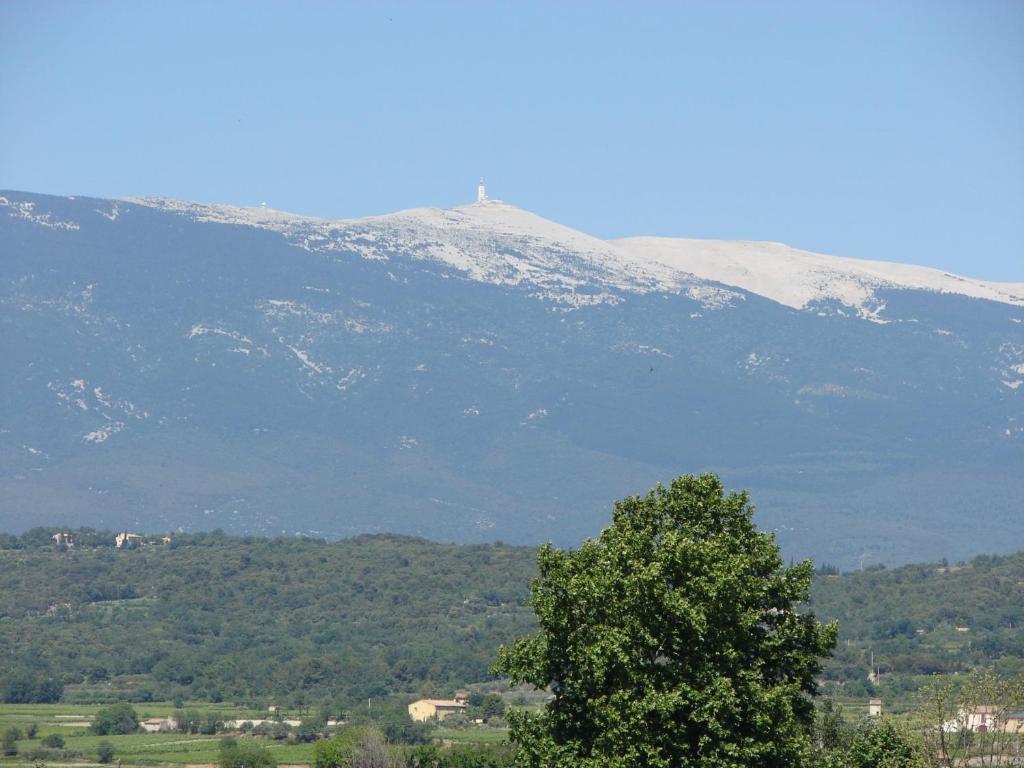 Hotel Le Siecle Mazan Bagian luar foto